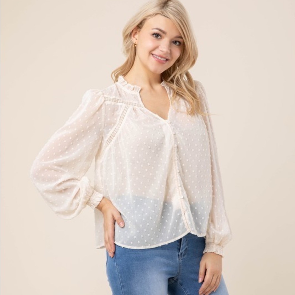 Swiss Dot Blouse Ruffled Neck NWT